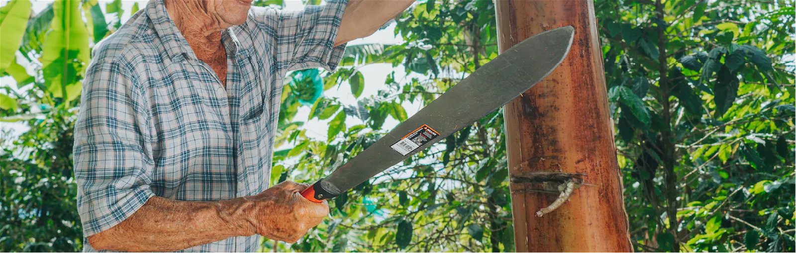 reglas de seguridad en el uso del machete esenciales en la agricultura