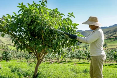 como podar un arbol